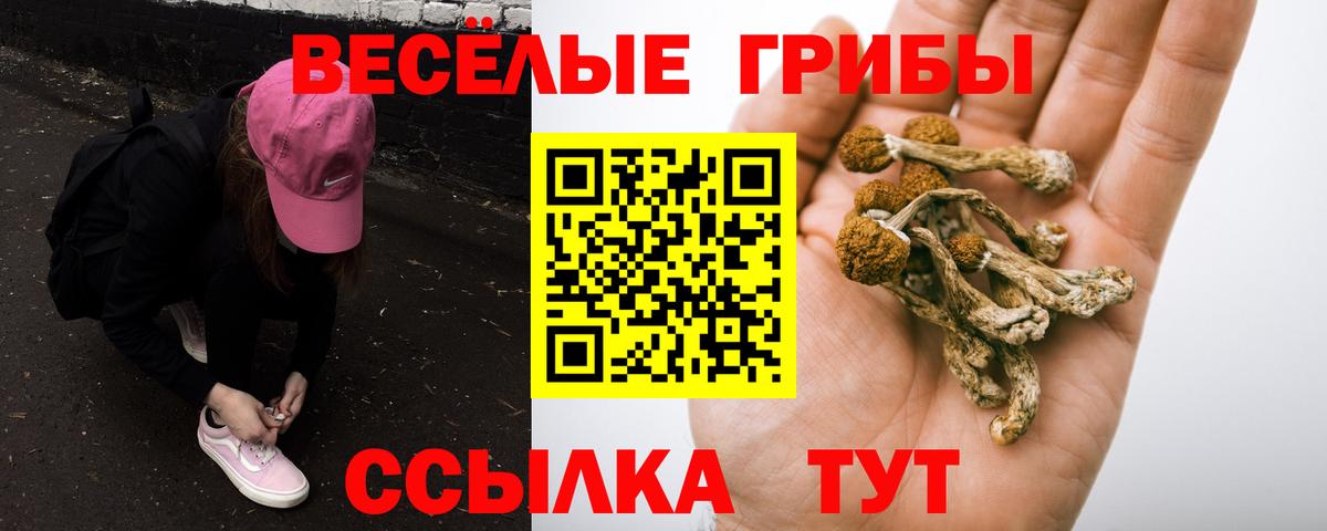 Валуйки  Галлюциногенные грибы мицелий  Вход с VPN 